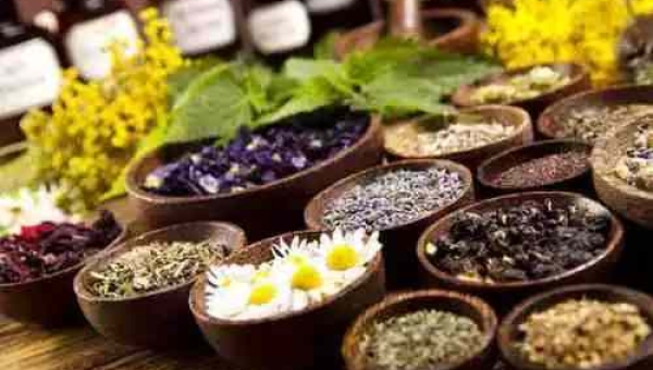 Descubra como a homeopatia pode ajudar no tratamento de doenças físicas