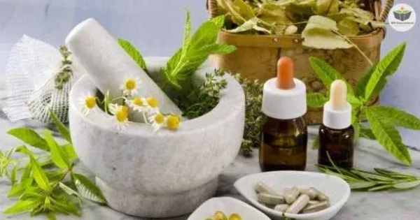 Homeopatia: Noções Básicas Para a Graduação
