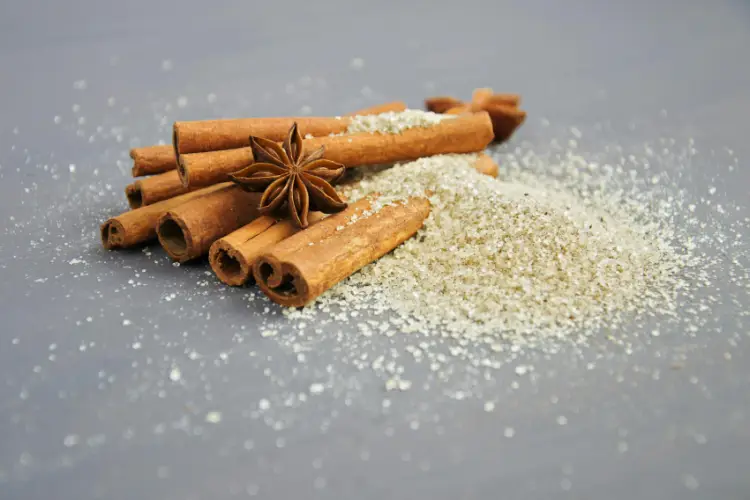 Cinnamomum e Homeopatia: Benefícios Terapêuticos da Canela